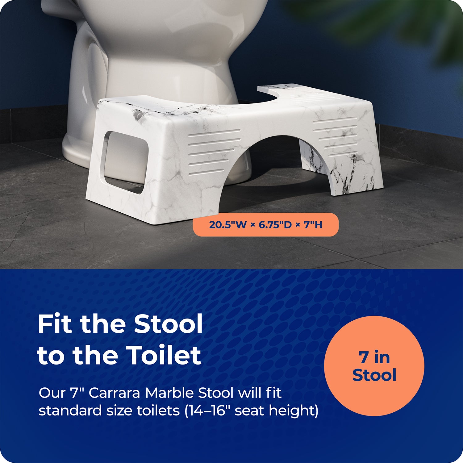 CARRARA MARBLE - Sqoatty Pottys